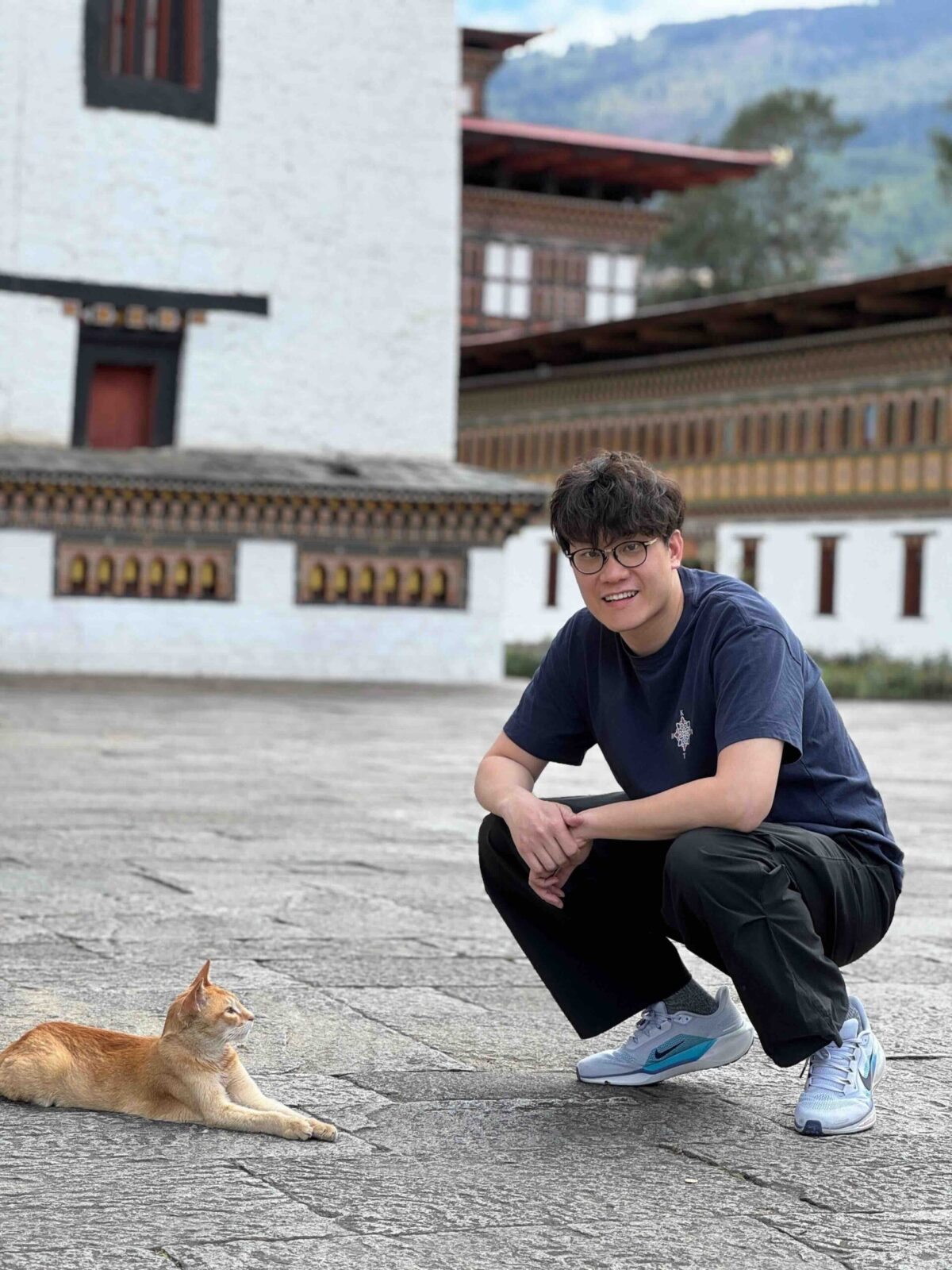 不丹寺廟有不少可愛的貓